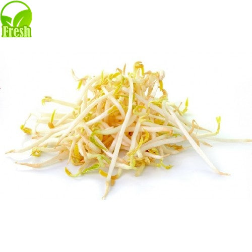 新鲜黄豆芽450克