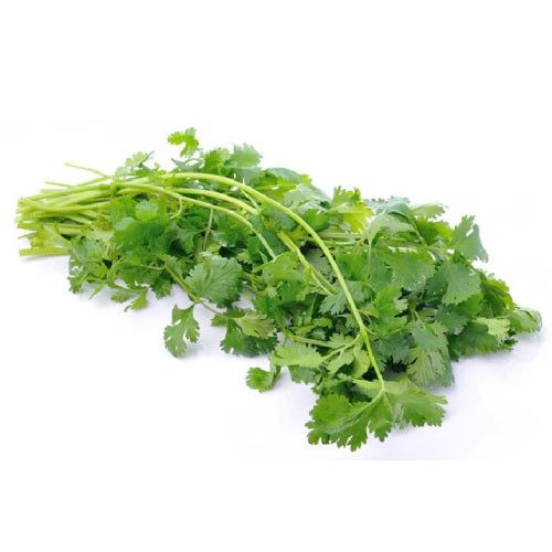 Coriandre