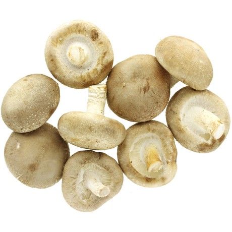 Shiitake frais 250 G