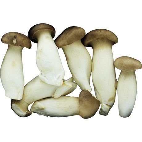 Eryngii Champignon Pleurote 150 G MAO XIONG