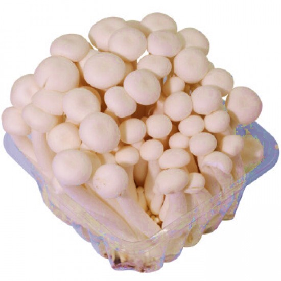 champignon  Shimeji blanc 150g